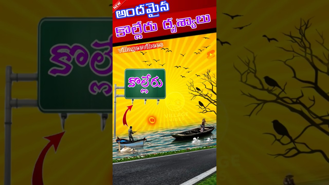 Kolleru Lake | Boating, Birds & Nature Beauty