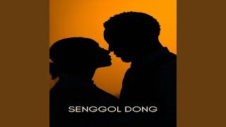 Senggol Dong