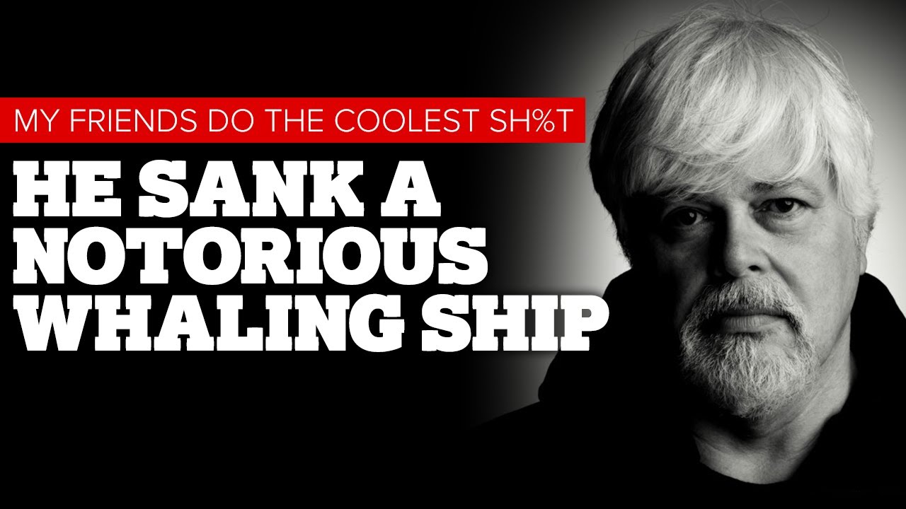Paul Watson: He Sank A Notorious Whaling Ship