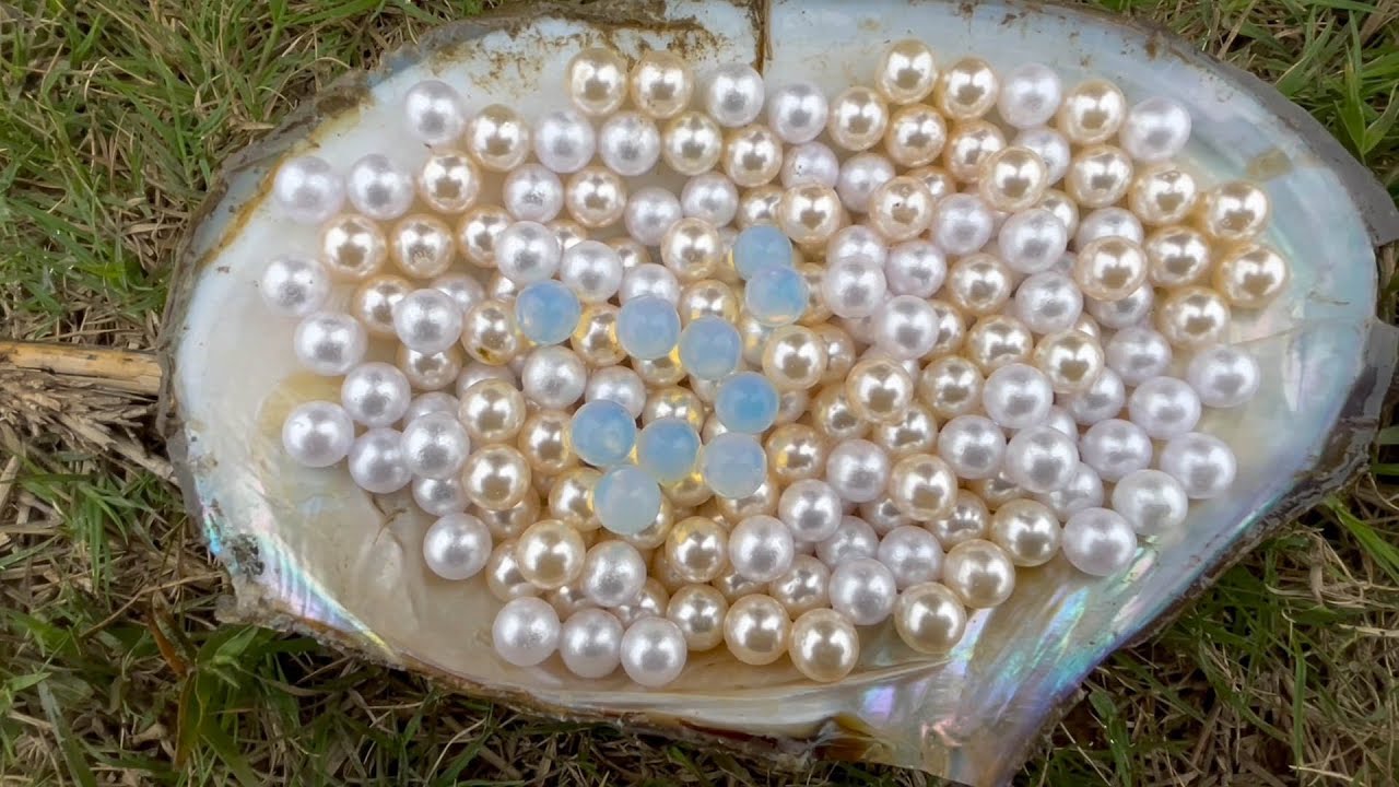 Magical lakes, mysterious pearl oysters, pure white pearls with golden light YouTube