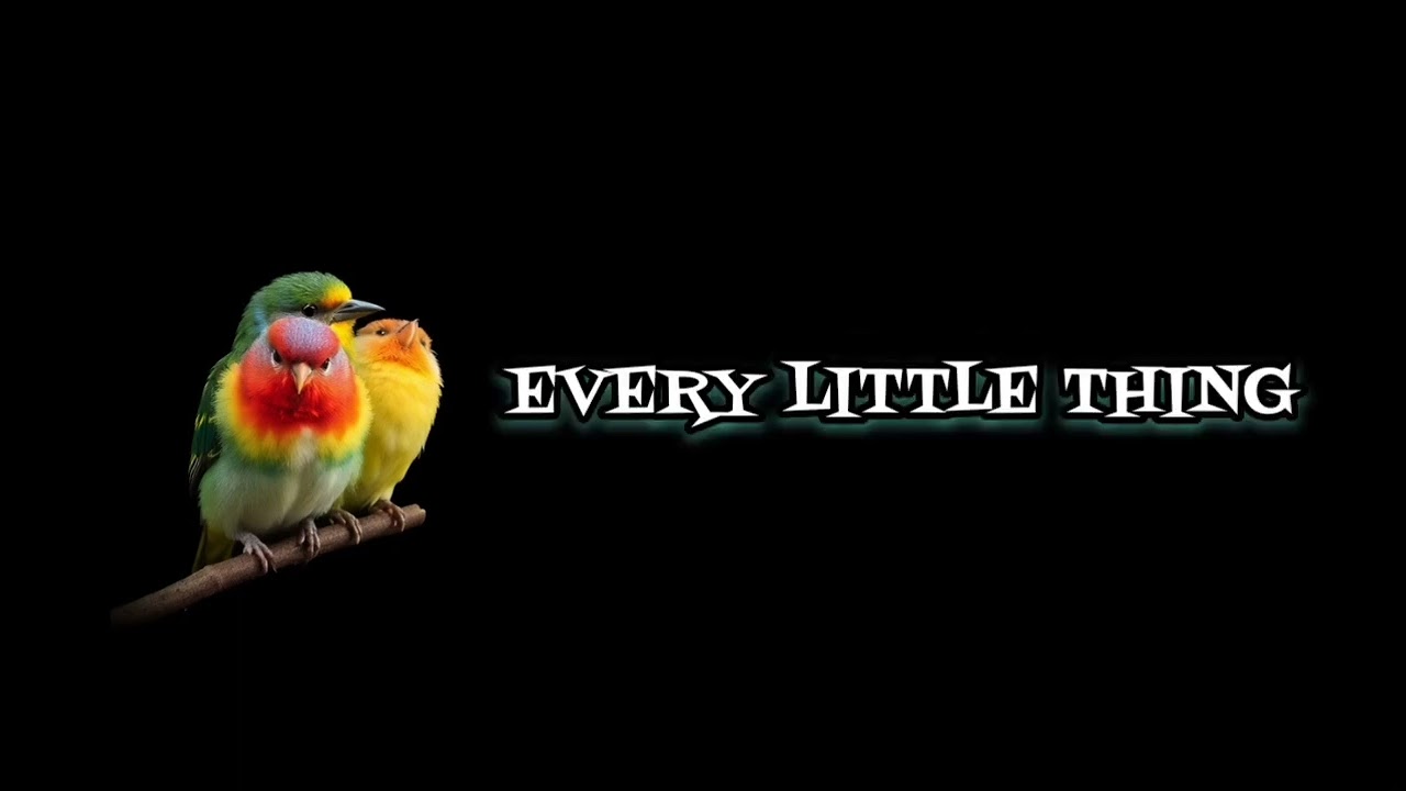 Bob Marley - Three Little Birds Lyrics (NCS)