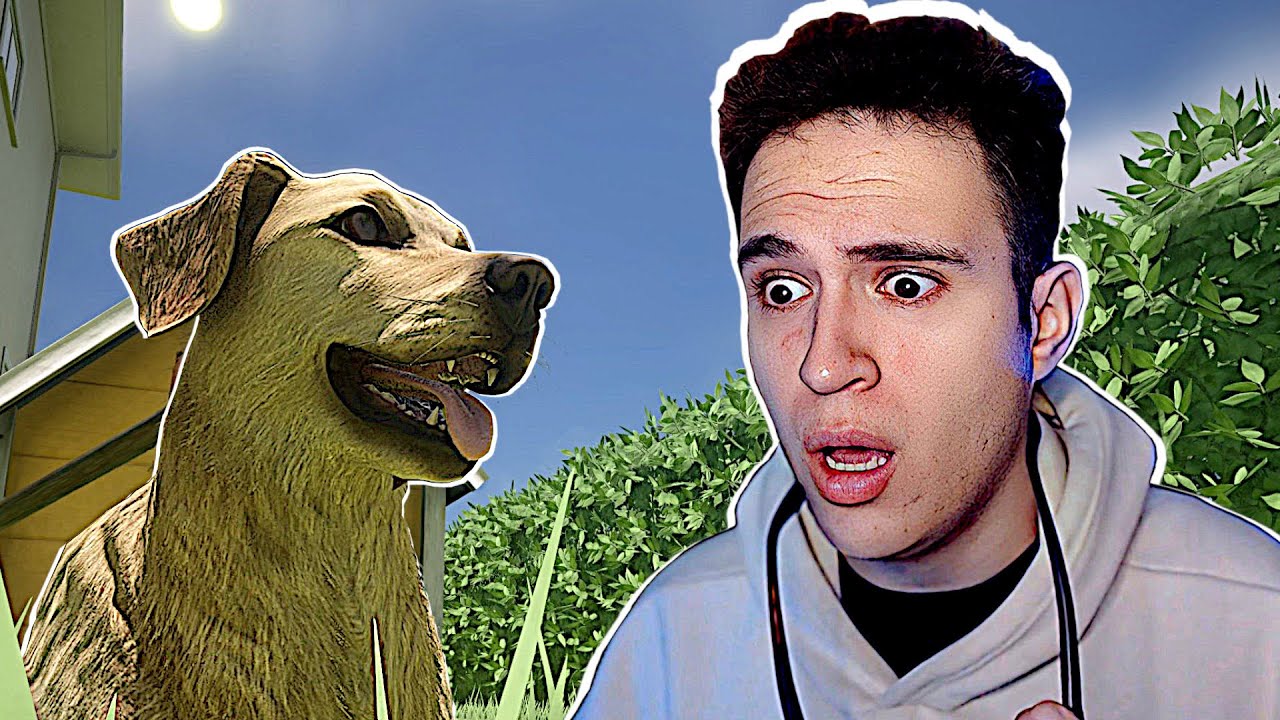 HE LLORADO CON ESTE JUEGO | The Paddy Field