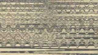 Diagnose: Lebensgefahr - Transformalin (official promo video 2012)