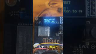 I fixed my Bitaxe Gamma! Successfully flashed the firmware