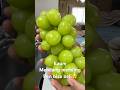 Anggur shine muscat Jepang murah meriah