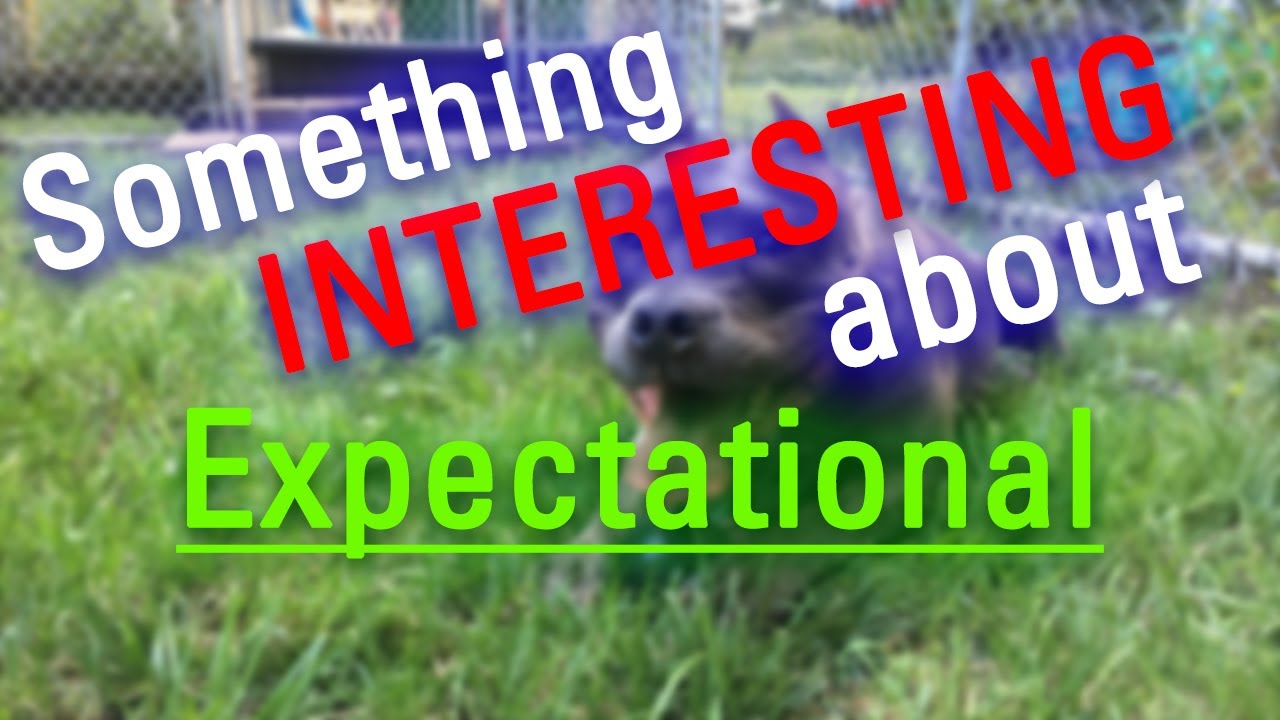 How to Say Expectational in English? | How Does Expectational Look ...