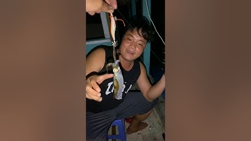 Câu mực đêm Phú Quốc cùng ngư dân