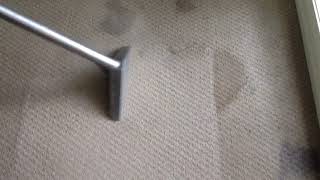Carpet Steam Cleaning
