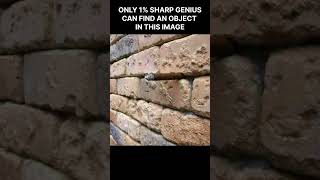 Find An Object When You See It Then You Cannot Unsee It