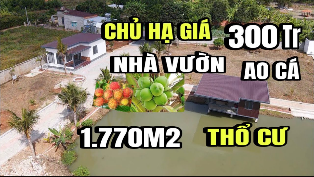 Chính Chủ hạ giá Bán gấp, nhà vườn, ao cá trái cây tường bao quanh, 1.770M2, thổ cư, Huyện cẩm mỹ cũ
