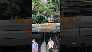 대놓고 하라주쿠에서 열차 놓침 ㅋㅋ #하라주쿠 #일본여행 #놓아버림 #열차 #열차영상