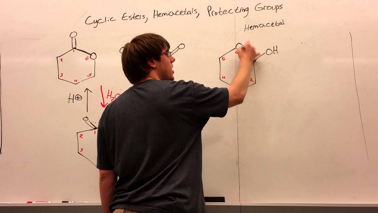 Exam 2 Synthesis Part 5 - Cyclic Ester Summary