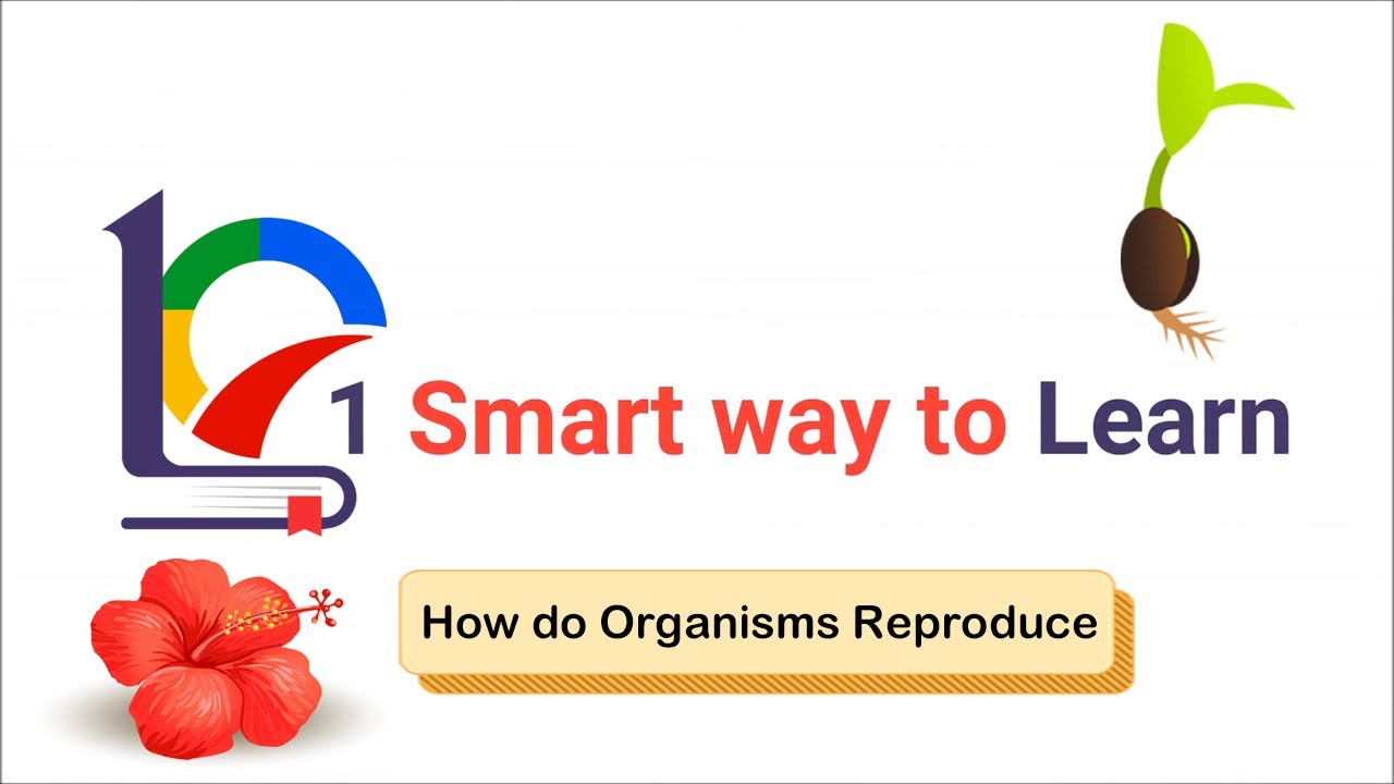 Class 10 How do Organisms Reproduce | 8.2.1 | Fission