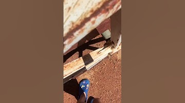 Have you ever seen a cache this small #nano