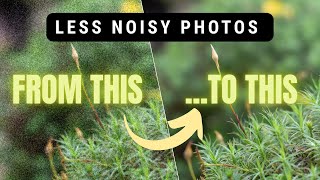 No More Noisy Photos: My Simple Shooting Method No More Noisy Photos: My Simple Shooting Method