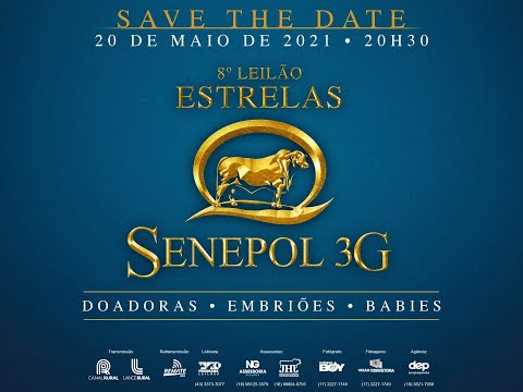 Lote 19   GGG 1520 Copy