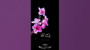 صباح الخير🌺 حالات واتس اب مقاطع قصيره قران كريم🌺وأفوض امري الى الله ان الله بصير بالعباد🌺 بدون حقوق