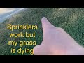 My sprinkler is work for my grass is dying￼