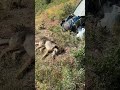 Совсем скоро у нас выйдет полная версия из солнечного Ташкента , пока небольшой анонс , ждем всех!!!