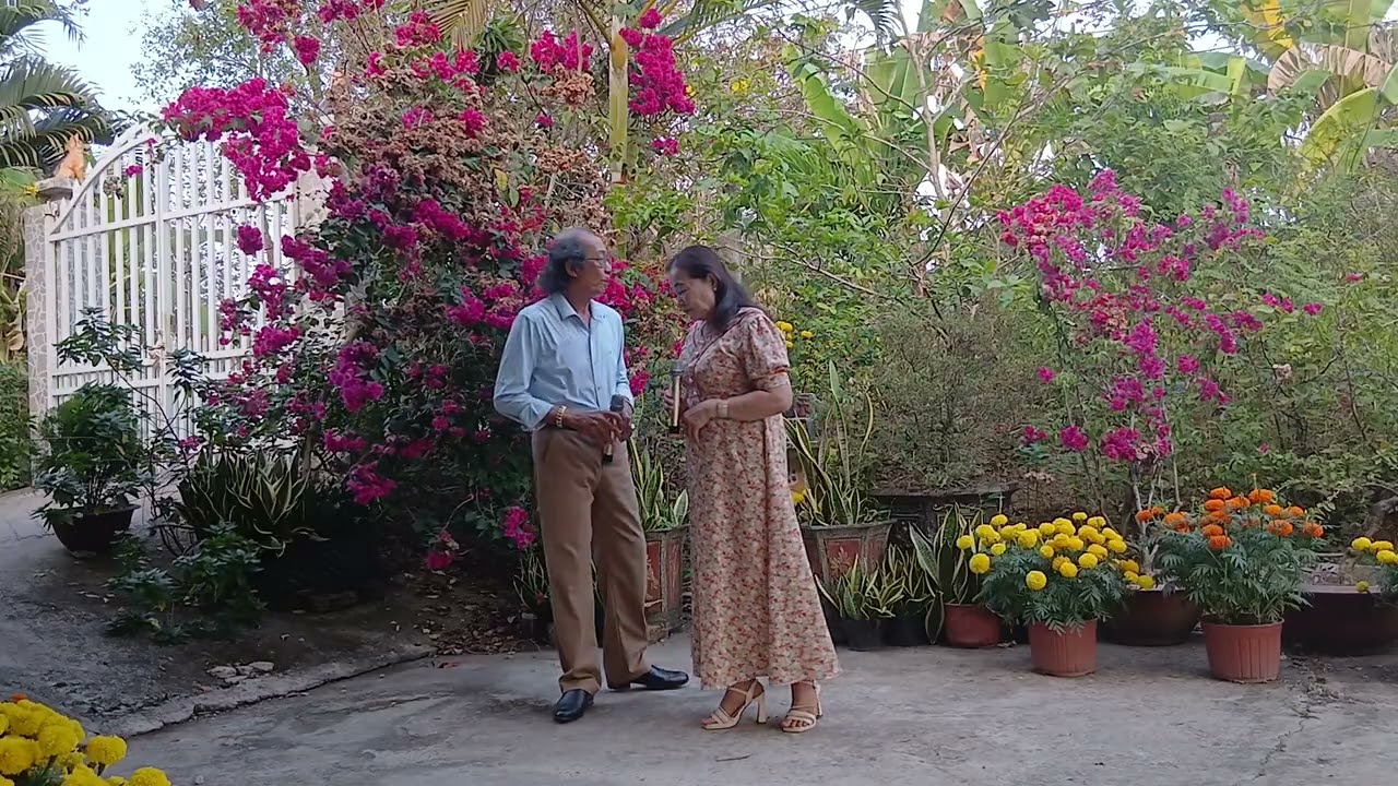 Rừng lá thấp biển mặn (Hồng Cẩm Hữu Ngọc trình bày) 