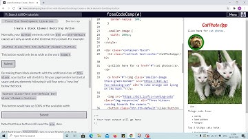 Bootstrap Tutorial 5 - button as block element using btn-block class