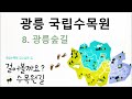 광릉 국립수목원 - 광릉숲길 #도깨비놀이터 #비밀의숲 #포천여행