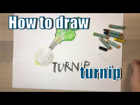 فيديو: كيفية رسم اللفت