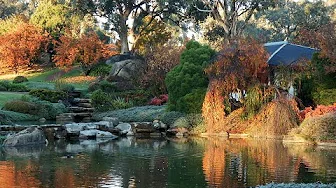 Japanese Garden ( Cowra NSW )