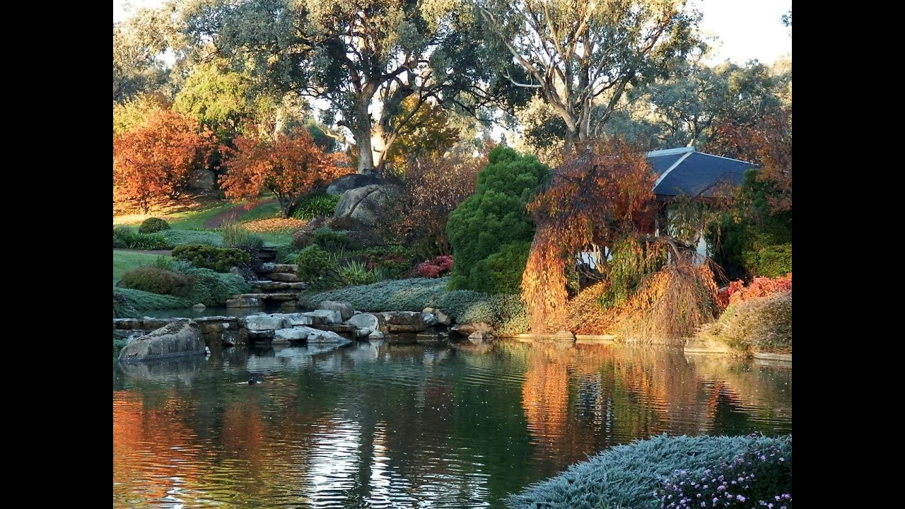 Japanese Garden ( Cowra NSW )