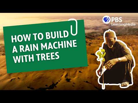 How to Build a Rain Machine With Trees