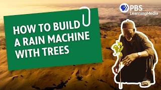 How To Build A Rain Machine With Trees