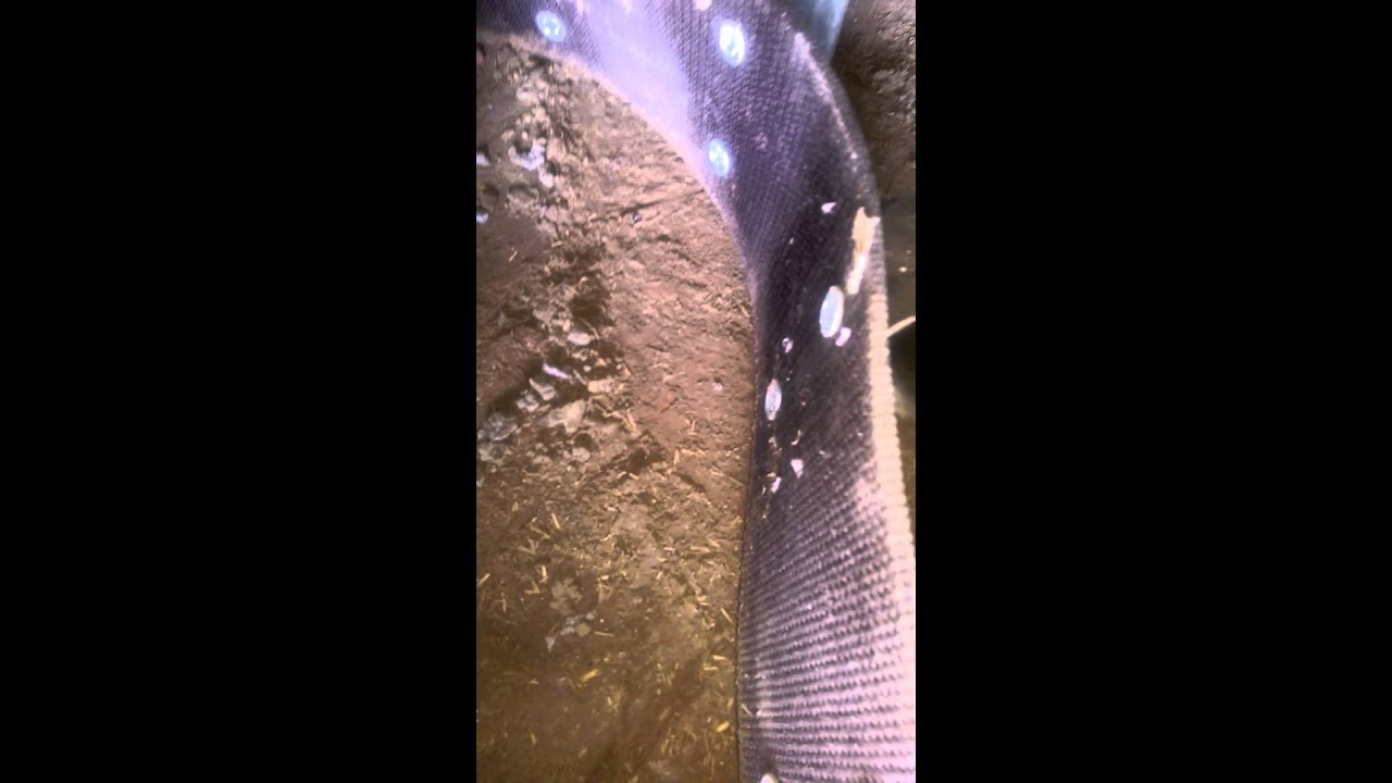 SOFRA FOOD GRADE BUCKET ELEVATOR BELT 160MM ( FDA IS USDA ACCEPTED)