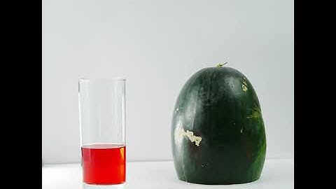 Stop Motion Animation l Water melon #stopmotion #animation #Juice #videoproduction #wff