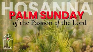 Palm Sunday of the Passion of the Lord - Sunday Mass March 29, 2026