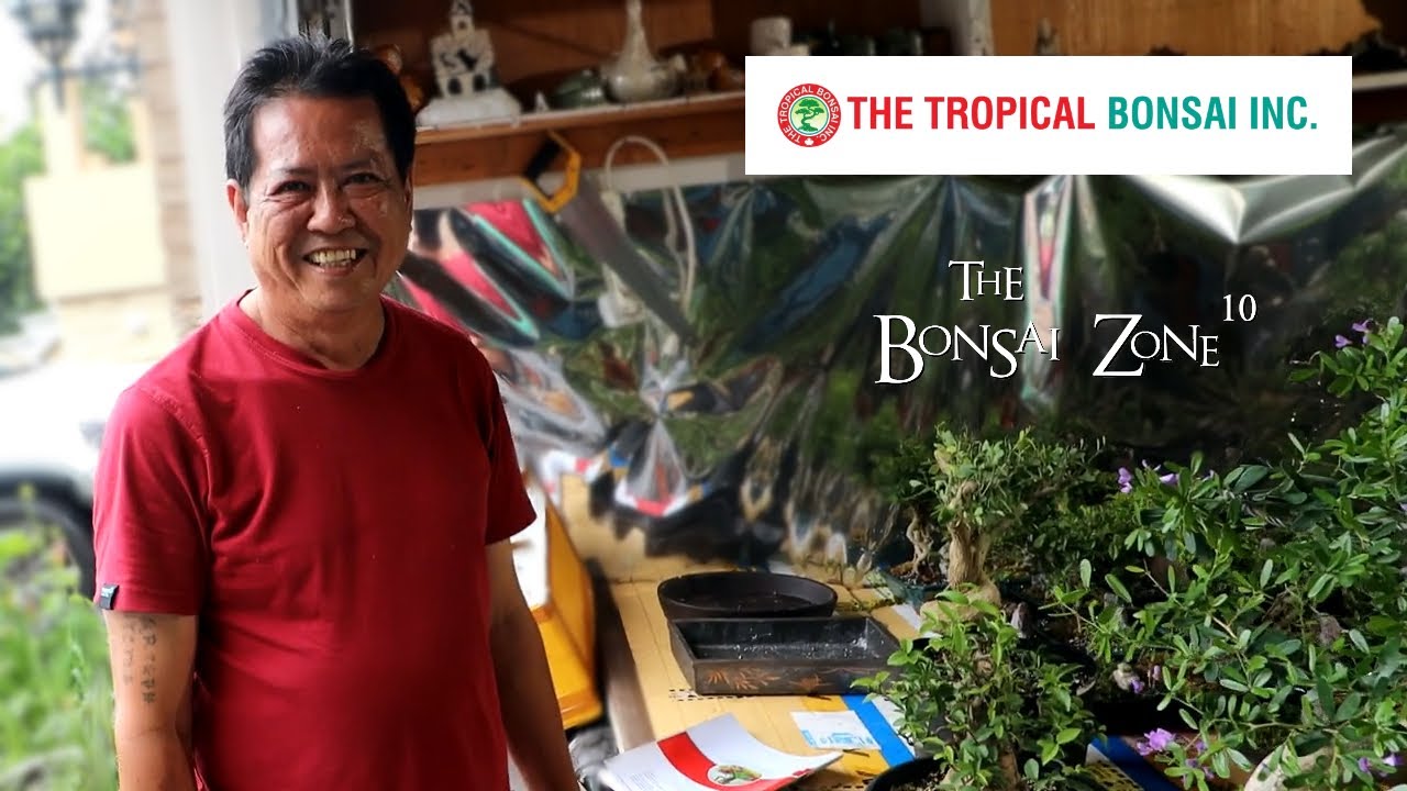 A Visit to The Tropical Bonsai Inc, The Bonsai Zone, Aug 2023 YouTube