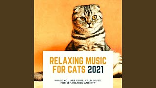 Gentle Music To Relax