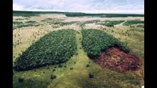 TRAVIVAĴO DE KNABO EN SOCIA MIZERTRAFITECO, KAJ LA KAZO AMAZONIO