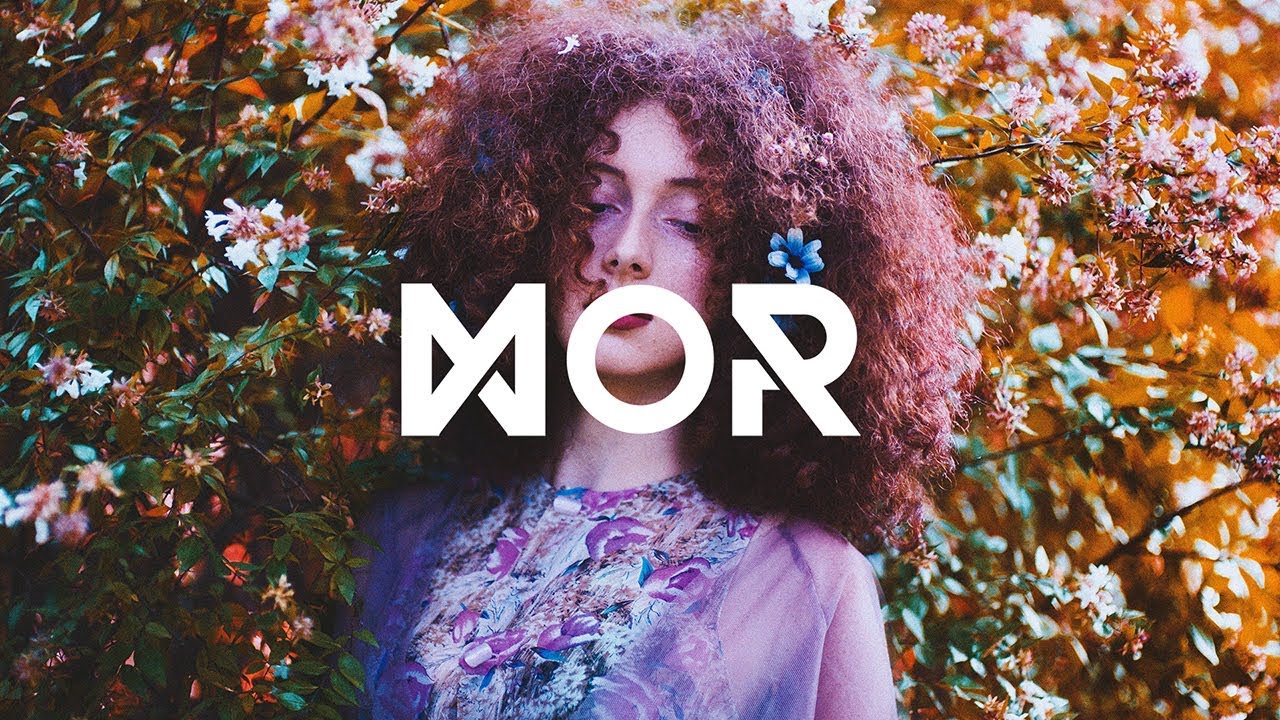 Pluvio - Significance Of None