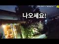미국에서 임신 사기를 치면 생기는 일 (그녀가 남친 만드는 법)｜경찰 바디캠