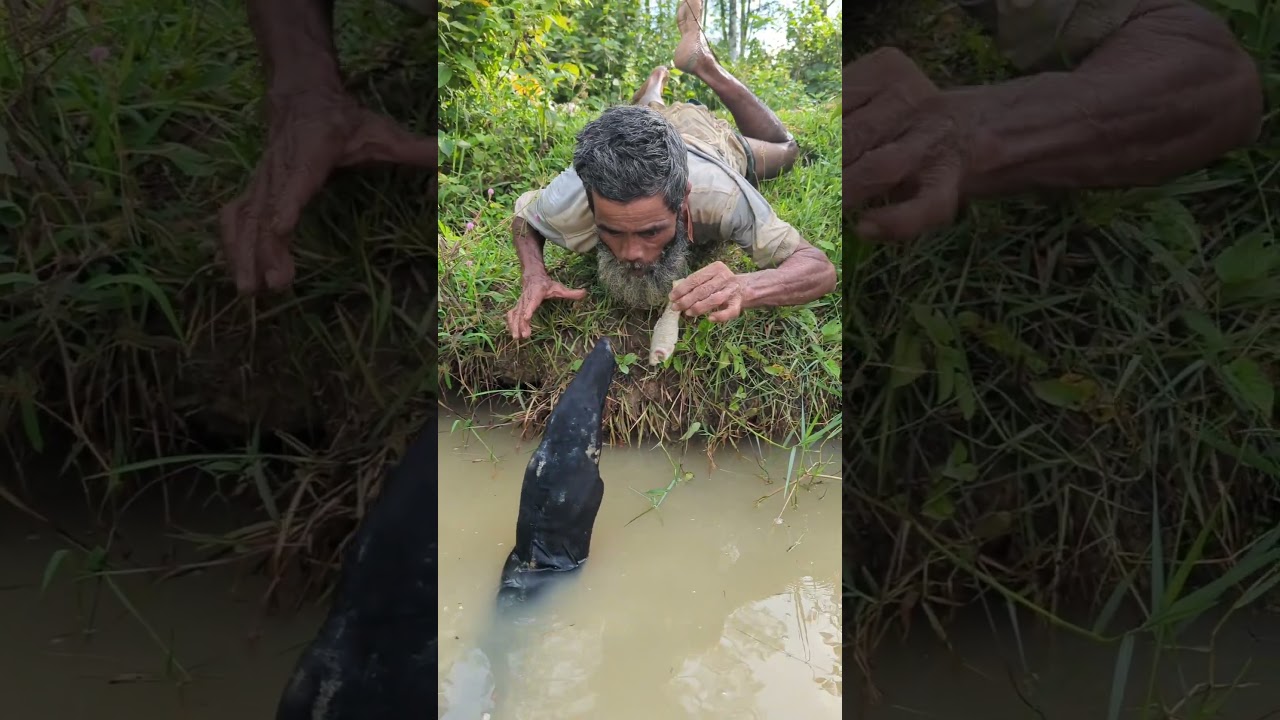 funny fishing video 2025 