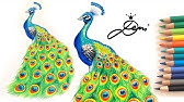 Pfauen Feder Zeichnen How To Draw A Peacock Feather Of Bird Kak Narisovat Pero Pavlina Youtube