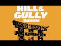 Hashez - BACKSHOT | HILL &amp; GULLY RIDDIM (2026) - DiGiTΔL RiLeY™