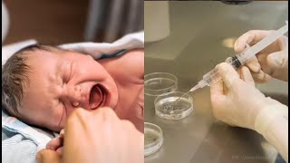 THIS State's Supreme Court Has Ruled Frozen Embryos Are 'Children' #TYT
