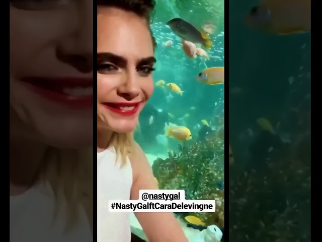 Cara Delevingne (@caradelevingne) archived Instagram Stories compilation from November 1, 2019