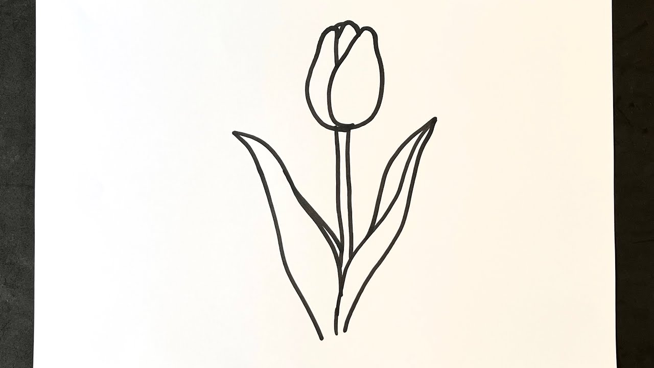 How to Draw Tulip | Flower | Easy funny drawings of cartoons