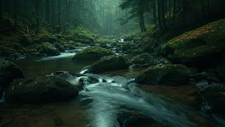 Soft RIVER STREAM to Unwind &amp; Drift Off | Flowing Water | Black Screen ASMR