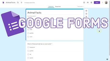 Google Forms Quiz: How to Hide Question Point Values