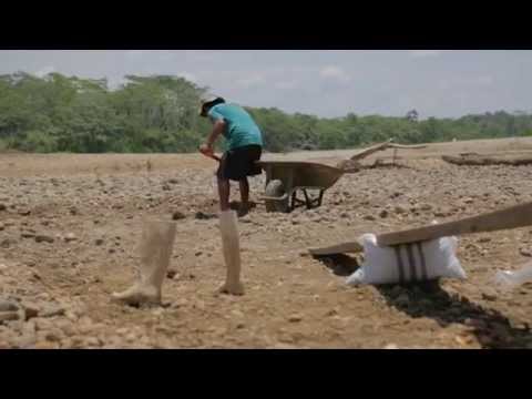 Las rutas del oro ilegal