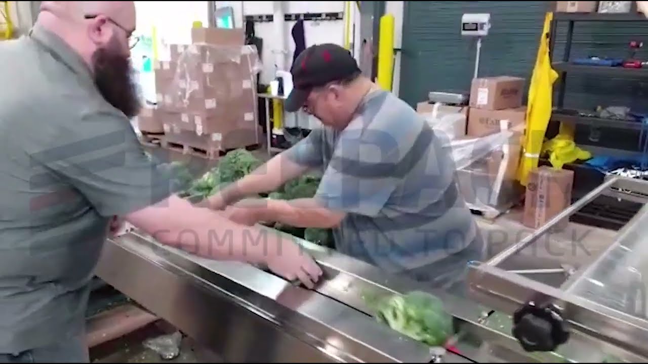 REEPACK - REEFLOW 50 - SHRINK BROCCOLI PACKAGING