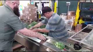 REEPACK - REEFLOW 50 - SHRINK BROCCOLI PACKAGING